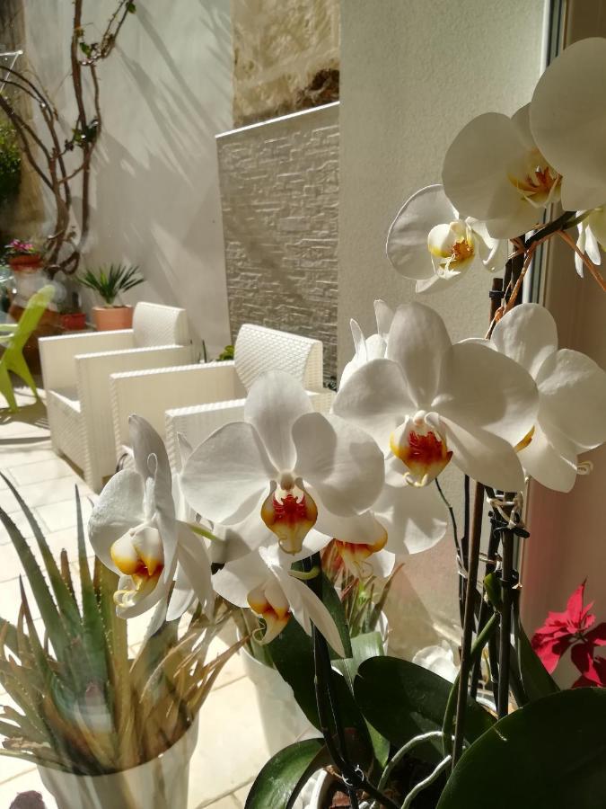 Meraki B&B Lecce Extérieur photo